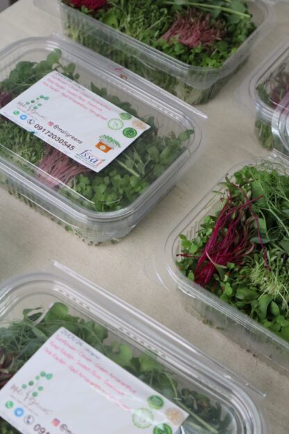 Microgreens Mix Box (60 grams)