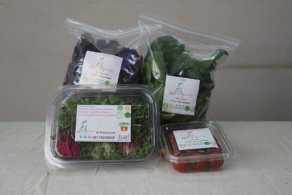 Harvest Box - Image 3